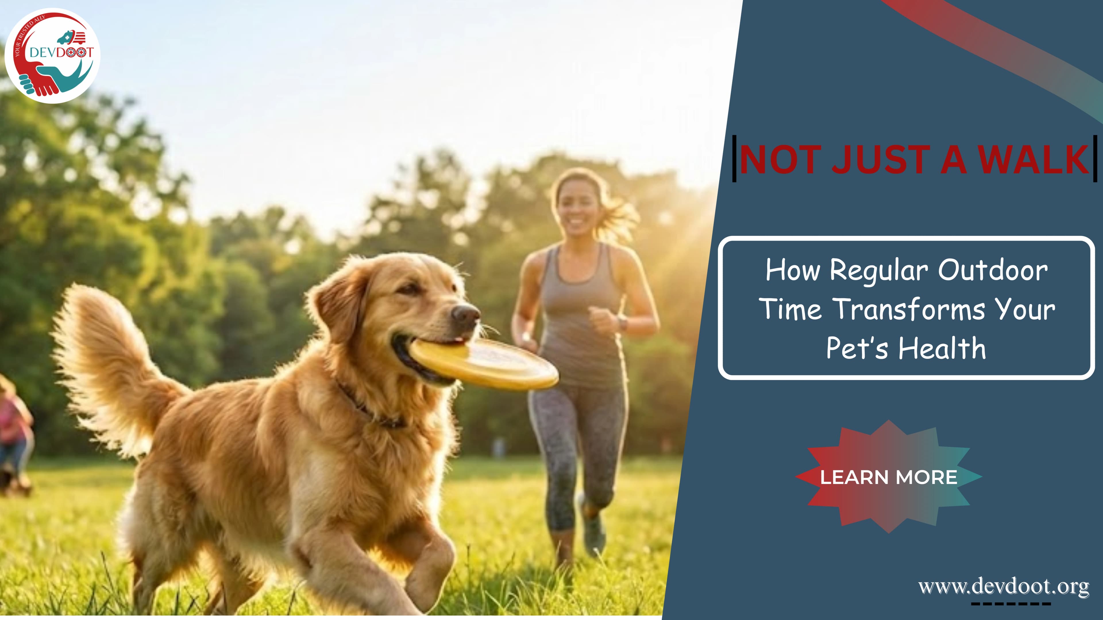 Not Just a Walk: How Regular Outdoor Time Transforms Your Pet’s Health
