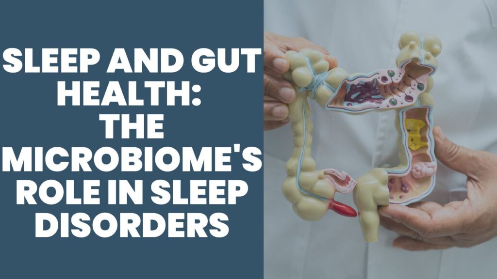 Illustration of sleep and gut microbiome connection