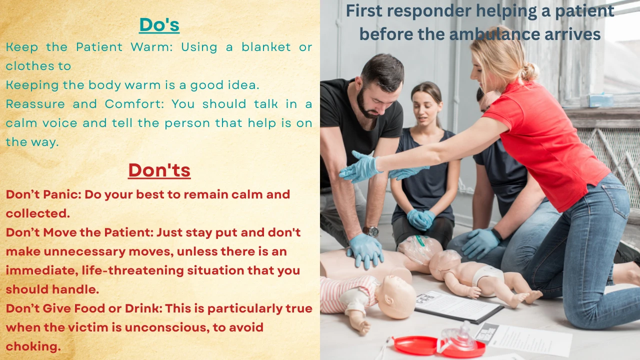 Navigating Emergency Medical Services: