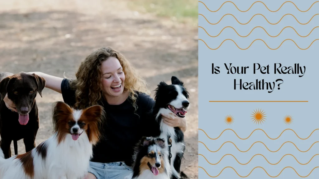 Veterinarian conducting pet wellness exam for dogs and cats
