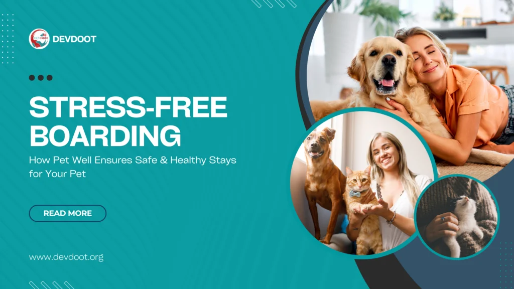 Pet boarding in India with vet support and daily updates